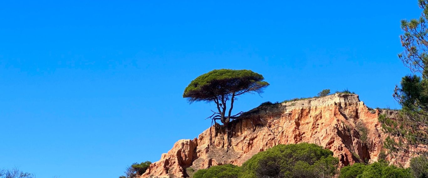 Golfreisen mit Matthias Rollwa